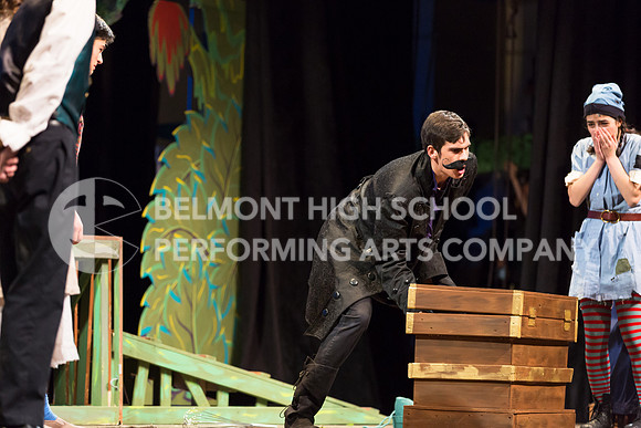 Belmont17-239