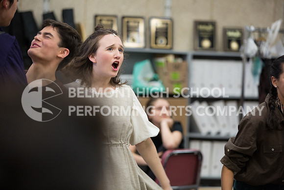 Belmont17-24