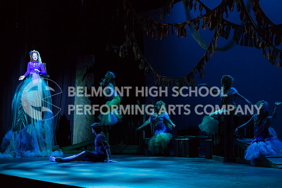 Belmont17-201