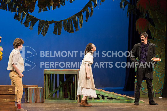 Belmont17-213
