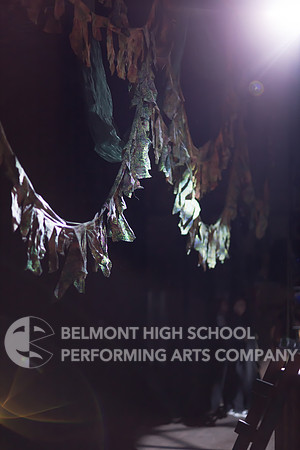 Belmont17-135