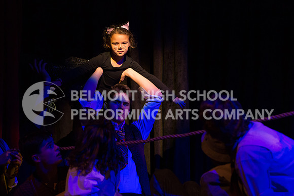 Belmont17-78