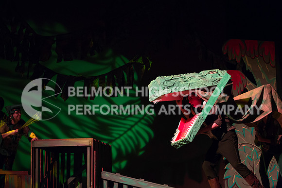 Belmont17-181