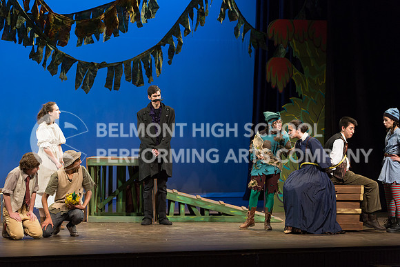 Belmont17-222