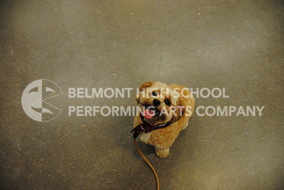 DSC_6527