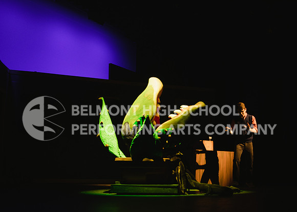 #dawnwessmanphotography-95